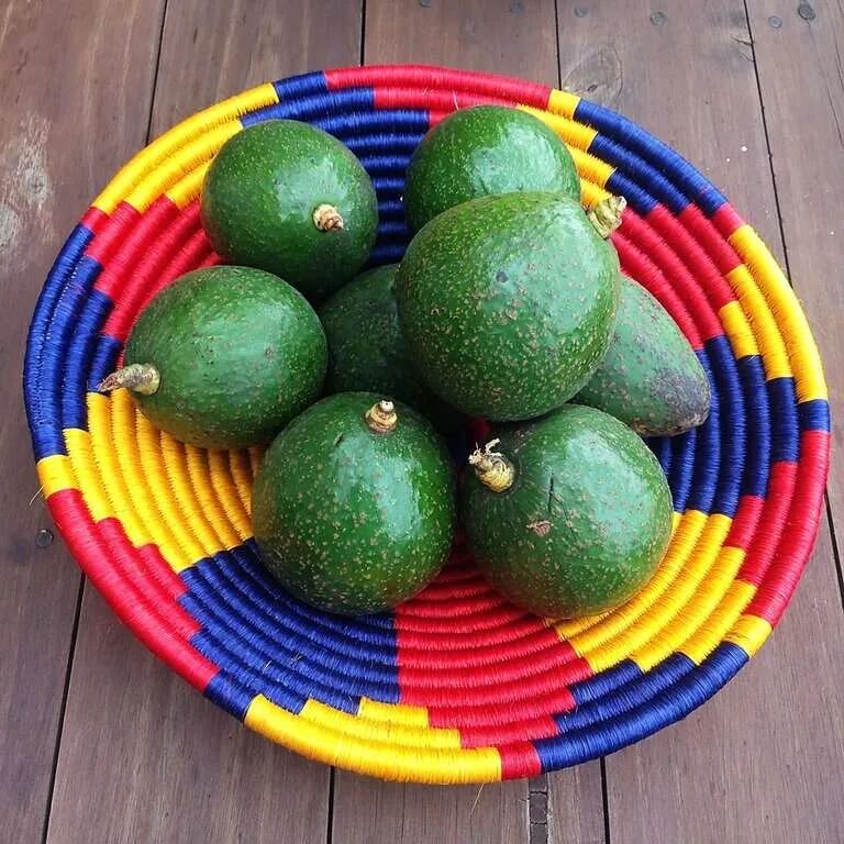Foto