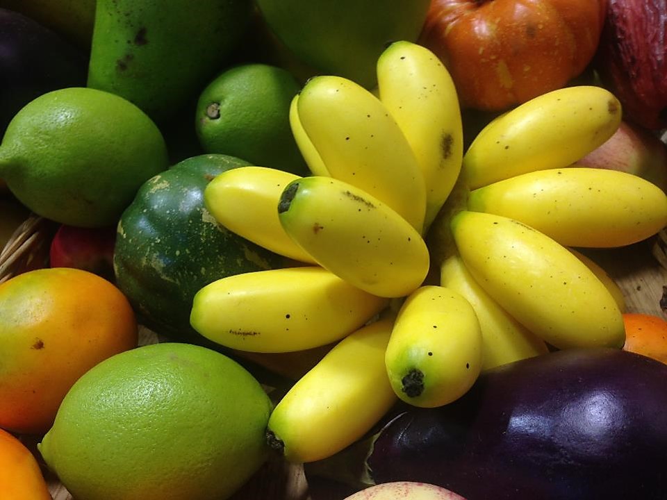 Frutas resina