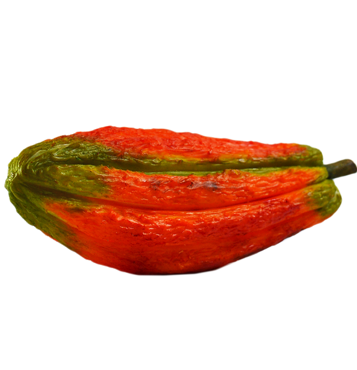 Fruta elaborada