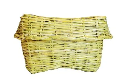 Curiti
