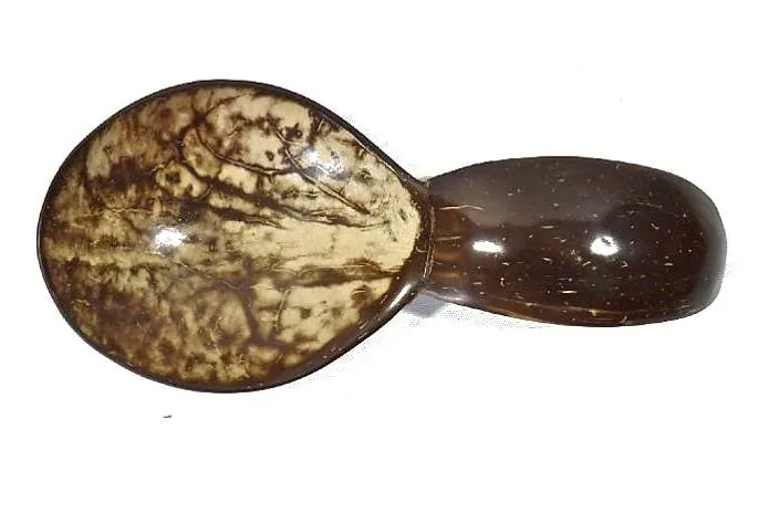 Recipiente coco