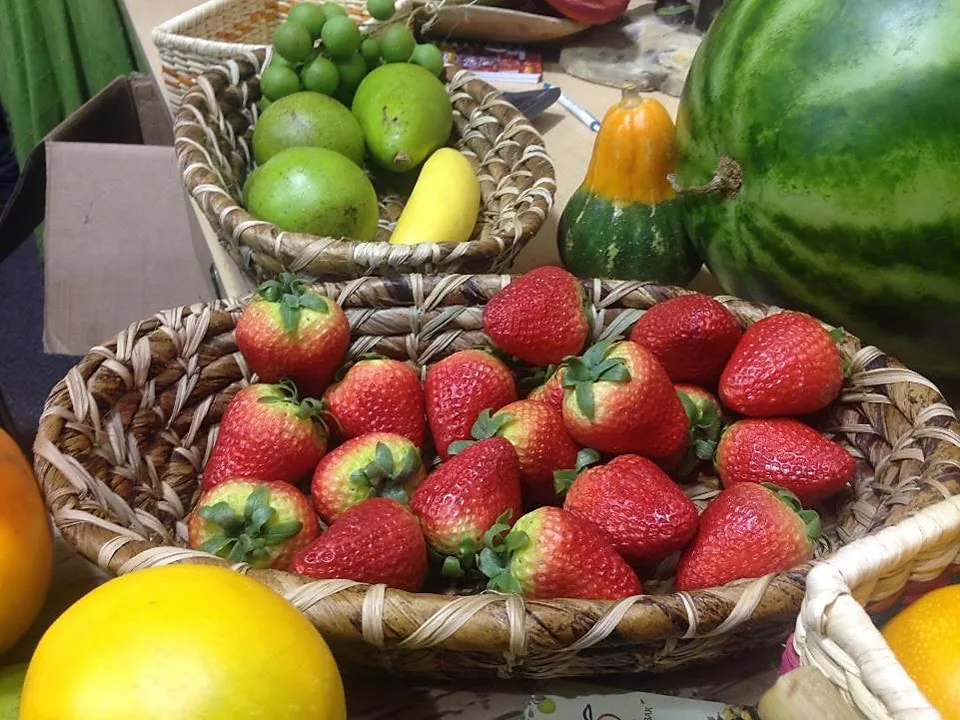 Frutas resina