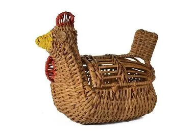 Gallina chipalo