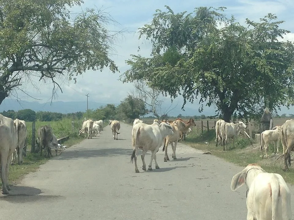 La Chamba