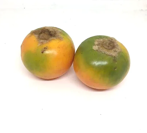 Fruta elaborada
