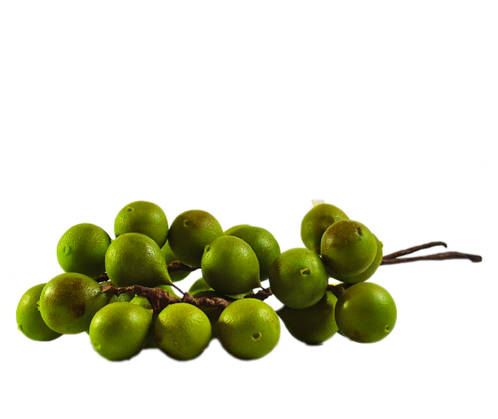 Frutas artesanales