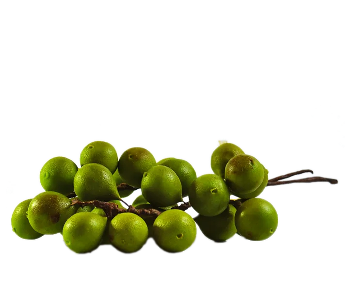 Frutas artesanales
