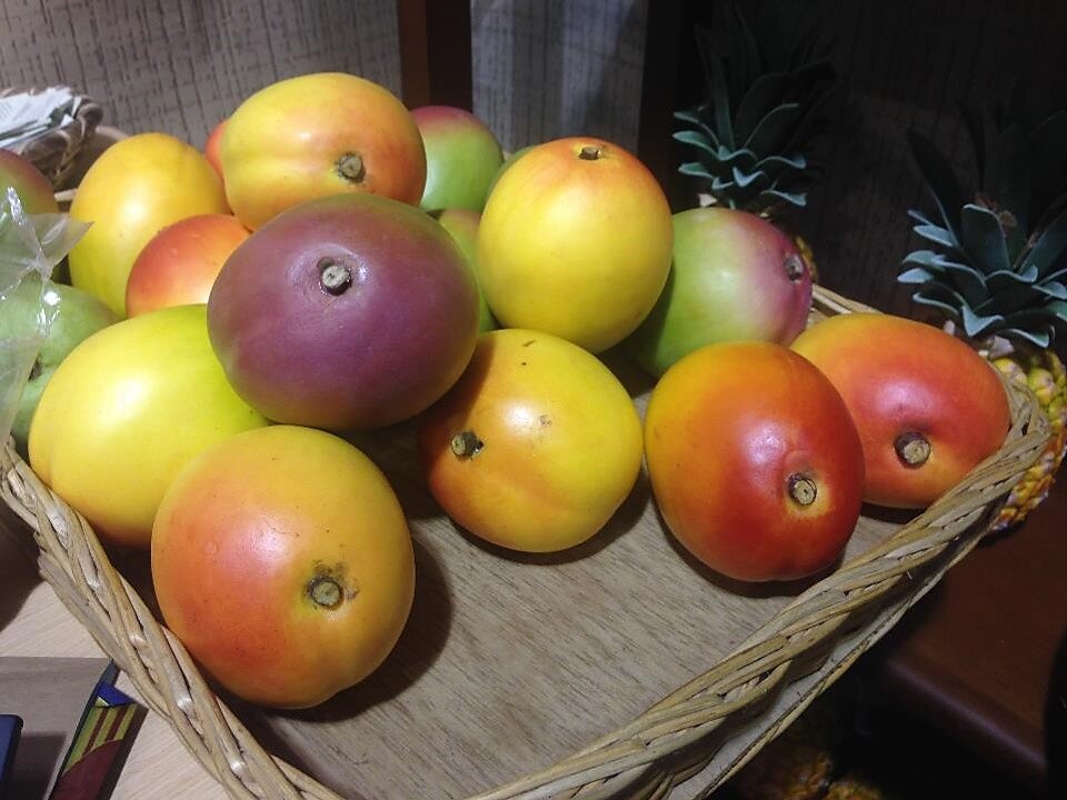 Mangos resina