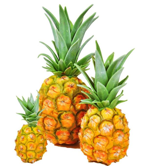 Fruta elaborada