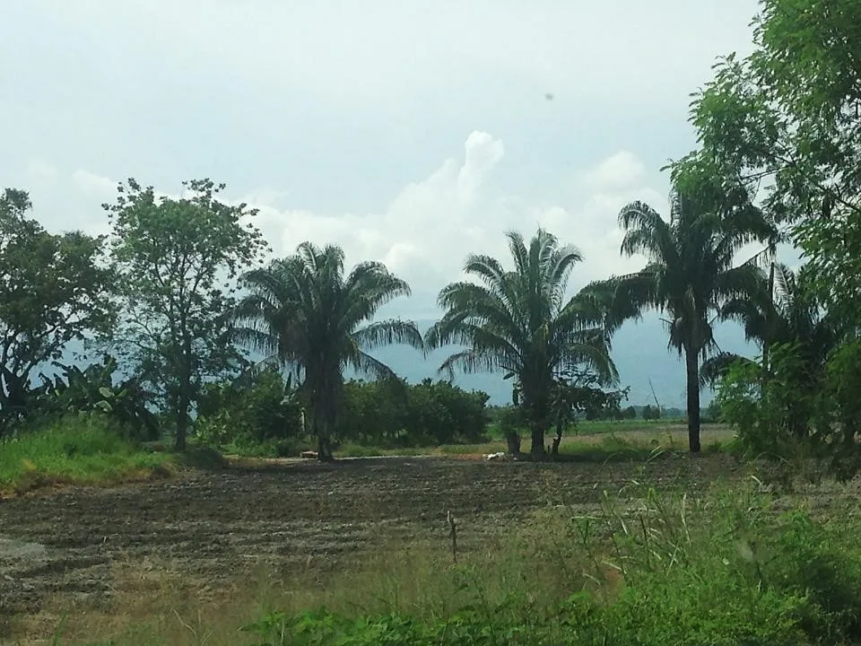 La Chamba